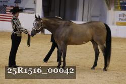 25R1516_00042 thumbnail