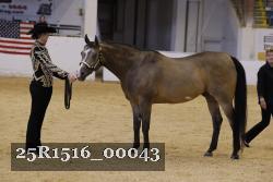 25R1516_00043 thumbnail