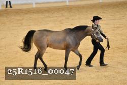 25R1516_00047 thumbnail