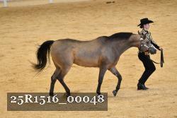 25R1516_00048 thumbnail