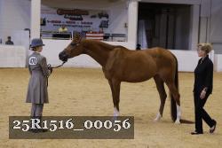 25R1516_00056 thumbnail