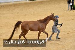 25R1516_00058 thumbnail