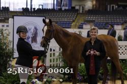 25R1516_00061 thumbnail