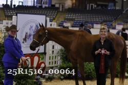 25R1516_00064 thumbnail