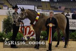 25R1516_00066 thumbnail