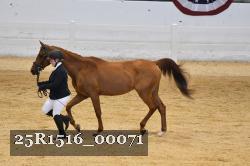 25R1516_00071 thumbnail