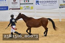 25R1516_00073 thumbnail