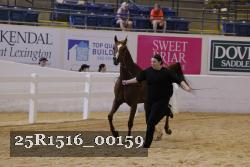 25R1516_00159 thumbnail