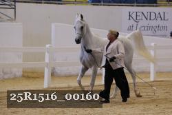 25R1516_00160 thumbnail