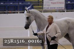 25R1516_00161 thumbnail