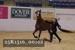 25R1516_00162 thumbnail