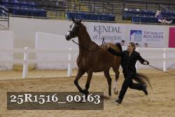 25R1516_00163 thumbnail