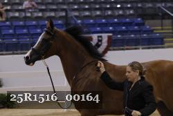 25R1516_00164 thumbnail