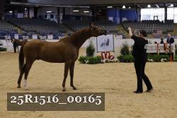 25R1516_00165 thumbnail
