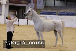 25R1516_00166 thumbnail