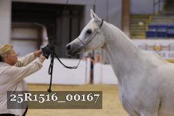 25R1516_00167 thumbnail