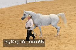 25R1516_00168 thumbnail