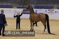 25R1516_00169 thumbnail
