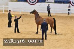 25R1516_00170 thumbnail