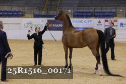 25R1516_00171 thumbnail
