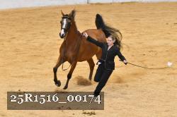 25R1516_00174 thumbnail