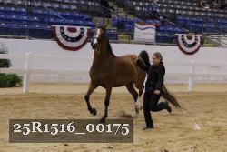 25R1516_00175 thumbnail