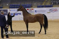 25R1516_00178 thumbnail