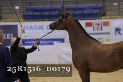 25R1516_00179 thumbnail