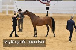 25R1516_00180 thumbnail
