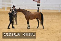 25R1516_00181 thumbnail