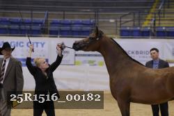 25R1516_00182 thumbnail