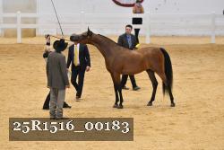 25R1516_00183 thumbnail