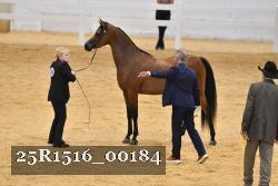 25R1516_00184 thumbnail