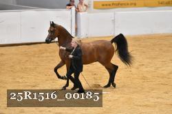 25R1516_00185 thumbnail