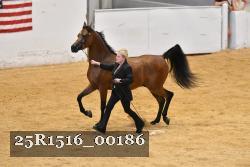 25R1516_00186 thumbnail