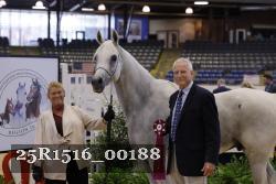 25R1516_00188 thumbnail