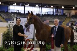 25R1516_00189 thumbnail