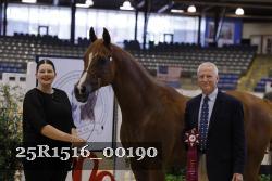 25R1516_00190 thumbnail