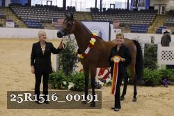 25R1516_00191 thumbnail