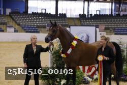 25R1516_00192 thumbnail