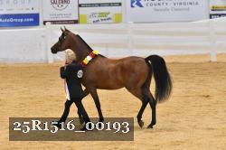 25R1516_00193 thumbnail