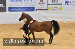 25R1516_00194 thumbnail