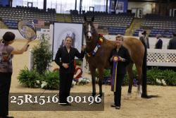 25R1516_00196 thumbnail