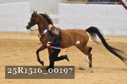 25R1516_00197 thumbnail
