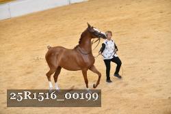 25R1516_00199 thumbnail