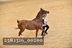 25R1516_00200 thumbnail