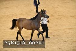 25R1516_00201 thumbnail