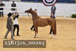 25R1516_00204 thumbnail