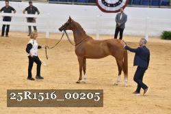 25R1516_00205 thumbnail
