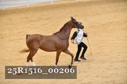 25R1516_00206 thumbnail